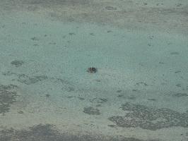 click to full size